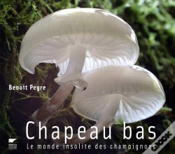 Capa do artigo Chapeau Bas ! Le Monde Insolite Des Champignons