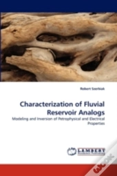Characterization Of Fluvial Reservoir Analogs
