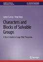 Characters And Blocks Of Solvable Groups - Preview