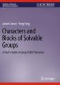 Characters And Blocks Of Solvable Groups - Preview