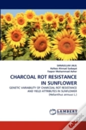 Charcoal Rot Resistance In Sunflower