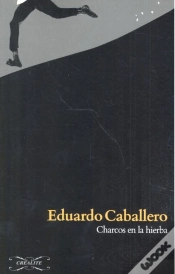 Capa do artigo Charcos En La Hierba