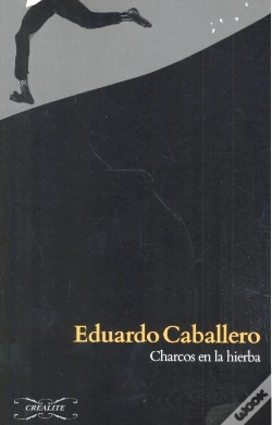 Capa do artigo Charcos En La Hierba