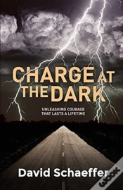Capa do artigo Charge At The Dark