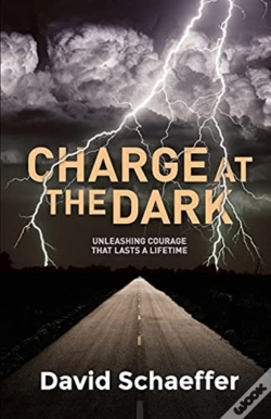 Capa do artigo Charge At The Dark