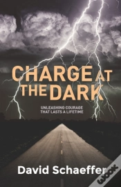 Capa do artigo Charge At The Dark