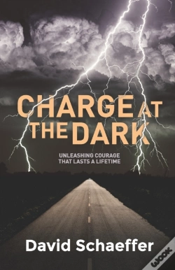 Capa do artigo Charge At The Dark
