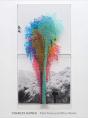 Charles Gaines: Palm Trees And Other Works - Preview