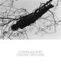 Charles Ray - Preview