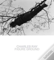 Capa do artigo Charles Ray