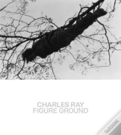 Capa do artigo Charles Ray
