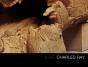Charles Ray - Preview