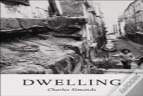 Charles Simonds. Dwelling