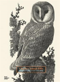 Charles Tunnicliffe - Preview