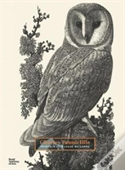 Capa do artigo Charles Tunnicliffe