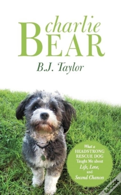Capa do artigo Charlie Bear