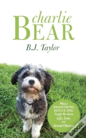 Capa do artigo Charlie Bear