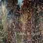 Charlie Burk - Preview