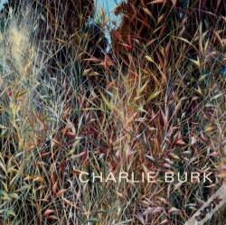 Capa do artigo Charlie Burk