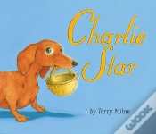 Capa do artigo Charlie Star