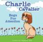 Charlie The Cavalier Begs For Attention - Preview