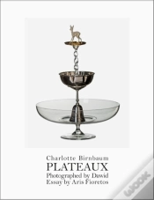 Capa do artigo Charlotte Birnbaum