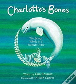 Capa do artigo Charlotte'S Bones