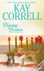 Capa do artigo Charming Christmas