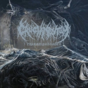 Capa do artigo Charnel Passages - Vinil
