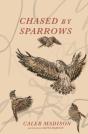 Chased By Sparrows - Preview