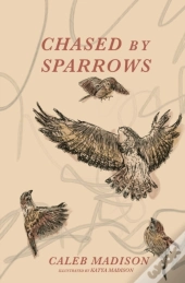 Chased By Sparrows