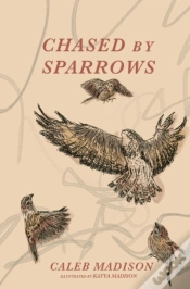 Capa do artigo Chased By Sparrows