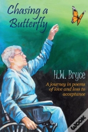 Capa do artigo Chasing A Butterfly
