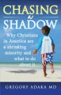 Chasing A Shadow - Preview