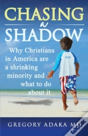 Capa do artigo Chasing A Shadow