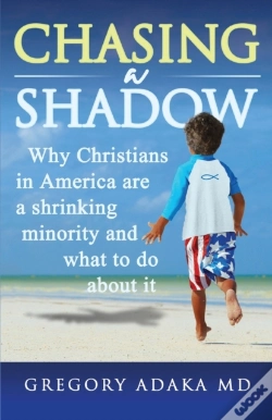 Capa do artigo Chasing A Shadow