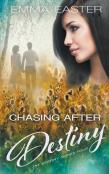 Chasing After Destiny