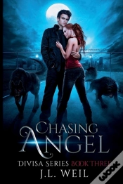 Capa do artigo Chasing Angel