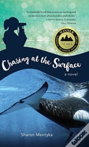 Capa do artigo Chasing At The Surface