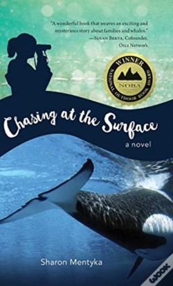 Capa do artigo Chasing At The Surface