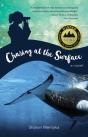 Chasing At The Surface - Preview
