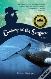 Capa do artigo Chasing At The Surface