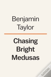 Capa do artigo Chasing Bright Medusas
