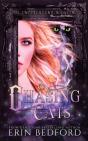 Chasing Cats - Preview