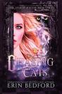 Chasing Cats - Preview
