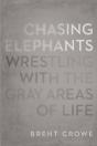 Chasing Elephants - Preview