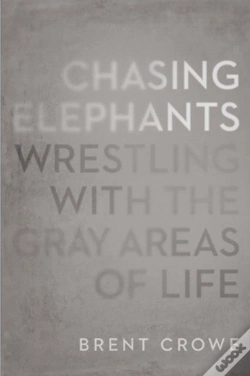 Capa do artigo Chasing Elephants