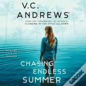 Capa do artigo Chasing Endless Summer