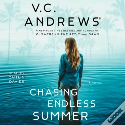 Capa do artigo Chasing Endless Summer