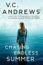 Chasing Endless Summer - Preview